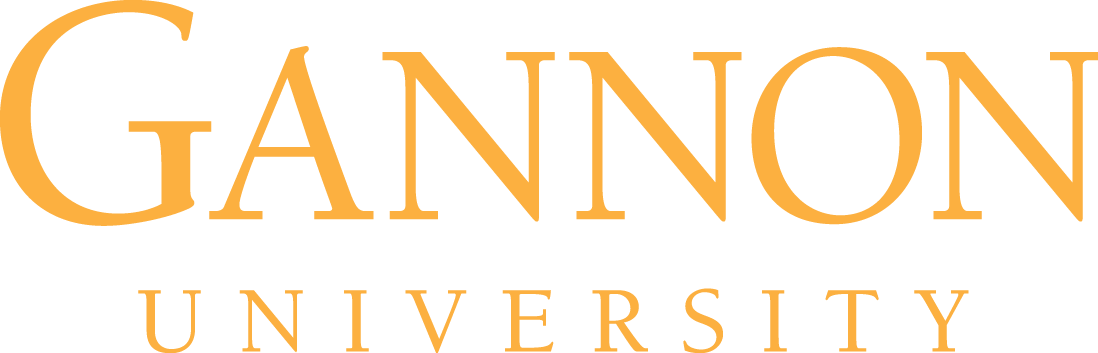 Gannon University China